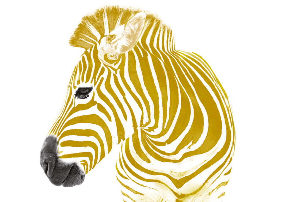 Gold Print Impressive GOLDEN Experience Impress